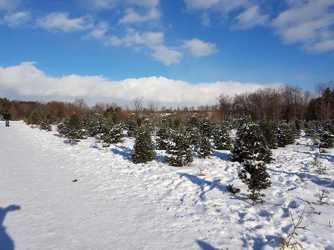 Prestonvale Tree Farms